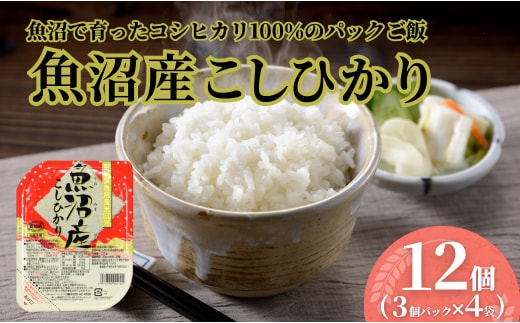 魚沼産こしひかり パックご飯 180g×12個（3パック×4個） たかの【0002-0363-01】