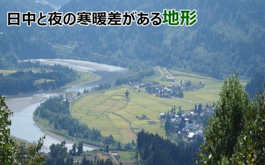 【8か月定期便】令和8年産 新米 先行予約 魚沼産コシヒカリ｢おぢや米｣合計40kg(5kg×1袋×毎月全8回) 新潟産コシヒカリ JA魚沼 こしひかり