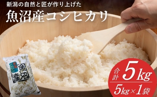 【令和7年産】魚沼産コシヒカリ 精米5kg(5kg×1袋) 白米 精米 新潟県産コシヒカリ 共栄農工社【0002-KY01-01】