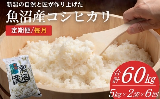 【令和7年産 定期便】魚沼産コシヒカリ 計60kg(5kg2袋×6回) 毎月お届け 白米 魚沼 米 共栄農工社【0002-KY06DB00-01】