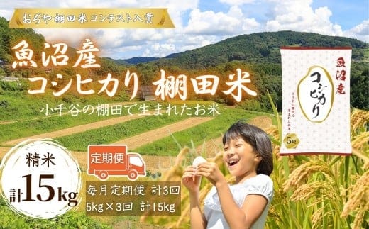 令和7年産 魚沼産コシヒカリ 棚田米 精米15kg（5kg×3回）定期便毎月発送【0002-RC03DB00-02】