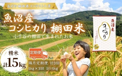 令和7年産 魚沼産コシヒカリ 棚田米 精米15kg（5kg×3回）定期便隔月発送【0002-RC04DB00-02】