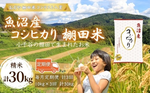令和7年産 魚沼産コシヒカリ 棚田米 精米30kg（5kg×2袋×3回）定期便毎月発送【0002-RC07DB00-02】