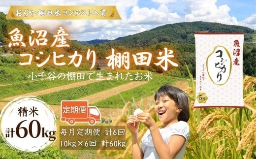令和7年産 魚沼産コシヒカリ 棚田米 精米60kg（5kg×2袋×6回）定期便毎月発送【0002-RC09DB00-02】