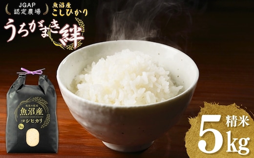 【JGAP認証農場】令和7年産 魚沼産コシヒカリ 精米5kg(5kg×1袋) うちがまき絆 【0002-UK01-02】