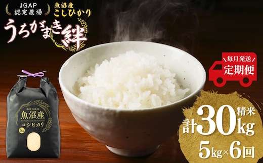 【JGAP認証農場】令和7年産 魚沼産コシヒカリ 定期便 計30kg（5kg×1袋×毎月全6回） うちがまき絆 【0002-UK06DB00-02】