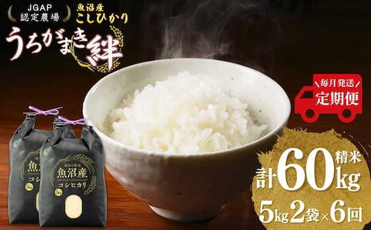 【JGAP認証農場】定期便 令和8年産 新米 先行予約 魚沼産コシヒカリ 定期便 計60kg(5kg×2袋) 毎月全6回 うちがまき絆 コシヒカリ