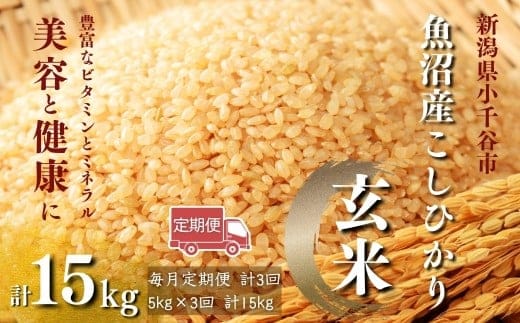 【玄米 選別品】令和7年産 魚沼産コシヒカリ 玄米 定期便5kg×3回 （毎月お届け）米太【0020-KT07DB00-02】