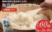 【令和7年産 定期便】魚沼産コシヒカリ 計60kg(5kg2袋×6回) 隔月お届け 白米 魚沼 米 共栄農工社【0002-KY07DB00-01】