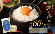 令和7年産 魚沼産コシヒカリ 定期便 小千谷市ブランド認証米「錦の実り」Aランク 精米60kg (5kg×2袋×毎月全6回) | 新潟県産コシヒカリ お米 米 こしひかり 魚沼産 ブランド米【0002-OBa09DB00-02】