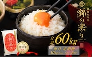 令和7年産 魚沼産コシヒカリ 定期便 小千谷市ブランド認証米「錦の実り」特Aランク 精米60kg (5kg×2袋×毎月全6回) | 新潟県産コシヒカリ お米 米 こしひかり 魚沼産 ブランド米【0002-OBt09DB00-02】