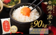 令和7年産 魚沼産コシヒカリ 定期便 小千谷市ブランド認証米「錦の実り」特Aランク 精米90kg (5kg×2袋×毎月全9回) | 新潟県産コシヒカリ お米 米 こしひかり 魚沼産 ブランド米【0002-OBt10DB00-02】