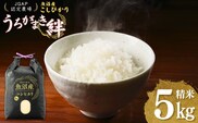 【JGAP認証農場】令和7年産 魚沼産コシヒカリ 精米5kg(5kg×1袋) うちがまき絆 【0002-UK01-02】
