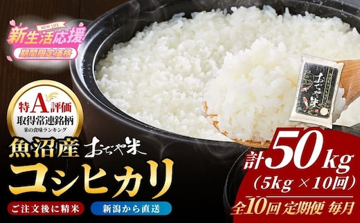 【10か月定期便】令和8年産 新米 先行予約 魚沼産コシヒカリ｢おぢや米｣合計50kg(5kg×1袋×毎月全10回) 新潟産コシヒカリ JA魚沼