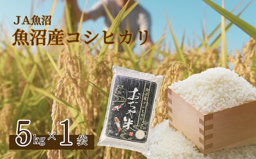 令和7年産 魚沼産コシヒカリ 5kg JA魚沼 【0002-JA02-03】