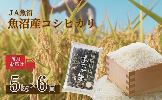 【6か月定期便(毎月発送)】 令和7年産新米 魚沼産コシヒカリ 精米5kg(5kg×1袋)×全6回 ※2025年10月上旬から発送予定 JA魚沼 【0002-JA05DB00-03】