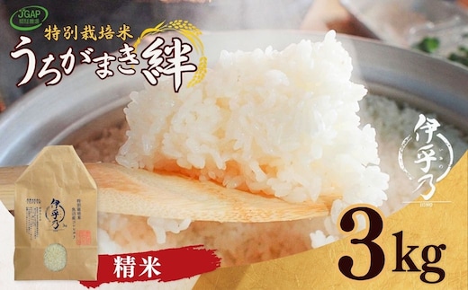 【JGAP認証農場】令和7年産 魚沼産コシヒカリ 特別栽培米｢伊乎乃｣ 精米3kg うちがまき絆 コシヒカリ
