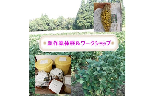 里山を守る自然栽培大豆オーナー 味噌＆納豆づくり体験 ポレポレ工房 【0011-0002-01】