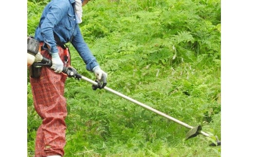 草刈り代行サービス ハイハイネット 【0032-0004-01】