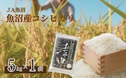 令和7年産 魚沼産コシヒカリ 5kg JA魚沼 【0002-JA02-03】