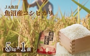 令和7年産 魚沼産コシヒカリ 5kg クラフト袋 JA魚沼 【0002-JA03-03】