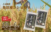 【6か月定期便(毎月発送)】 令和7年産新米 魚沼産コシヒカリ 精米10kg(5kg×2袋)×全6回 ※2025年10月上旬から発送予定 JA魚沼 【0002-JA08DB00-03】