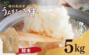 【JGAP認証農場】令和7年産 魚沼産コシヒカリ 特別栽培米｢伊乎乃｣ 精米5kg うちがまき絆 コシヒカリ