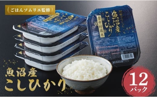 魚沼産コシヒカリ 雪中貯蔵米パックご飯 12個セット ごはんソムリエ監修 パック ご飯 ごはん レトルト 越後小千谷たかの 【0002-0195-02】