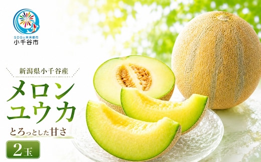 【 先行予約 数量限定 】 新潟県小千谷産 とろける甘さのユウカメロン 約2kg×2個 芳醇 メロン めろん 専門店 希少品種 優香 幻のメロン 令和8年産 2026年発送 農園ビギン | メロン めろん 果物 くだもの フルーツ ふるーつ 青果 果実 【0002-0248】