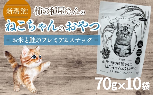 柿の種屋さんのねこちゃんのおやつ お米と鮭のプレミアムスナック 10個セット 阿部幸製菓｜ペットフード キャットフード 猫 ねこ ペット 愛猫 成猫 おやつ スナック 米 鮭【0002-0387】