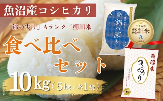 令和7年産 魚沼産コシヒカリ ブランド認証米「錦の実り」Aランクと棚田米 食べ比べ10kg(5kg2袋) | 新潟県産 コシヒカリ お米 米 こしひかり おこめ こめ コメ 白米 精米 魚沼産 ブランド米【0002-0397-01】