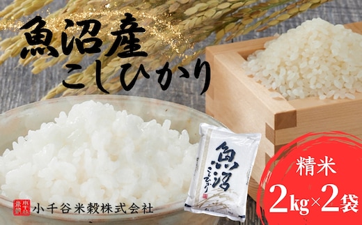 令和7年産 魚沼産コシヒカリ 計4kg(2kg×2袋) 小千谷米穀【0002-BE01-01】