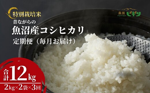 【令和8年産 先行予約】 昔ながらの魚沼産コシヒカリ 精米12kg(2kg×2袋×毎月全3回) 農園ビギン 【0002-BN06DB00-02】