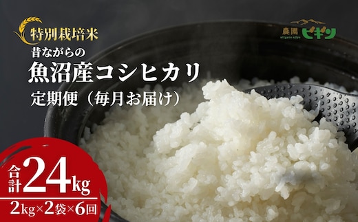 【令和8年産 先行予約】 昔ながらの魚沼産コシヒカリ 精米24kg(2kg×2袋×毎月全6回) 農園ビギン 【0002-BN07DB00-02】