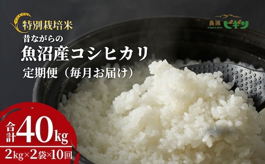 【令和8年産 先行予約】 昔ながらの魚沼産コシヒカリ 精米40kg(2kg×2袋×毎月全10回) 農園ビギン 【0002-BN08DB00-02】