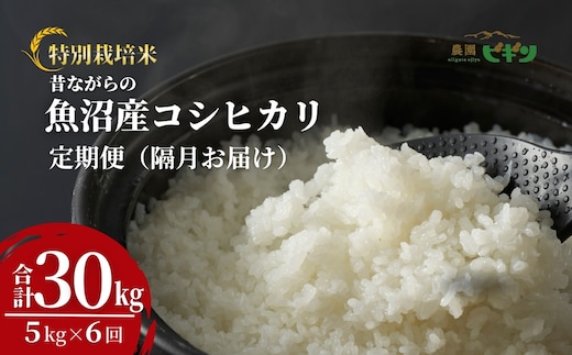 【令和8年産 先行予約】 昔ながらの魚沼産コシヒカリ 精米30kg(5kg×隔月全6回) 農園ビギン 【0002-BN13DB00-02】