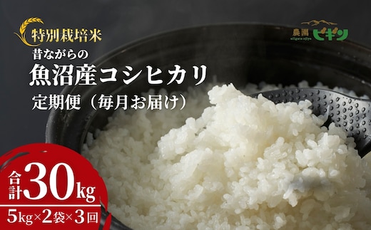 【令和8年産 先行予約】 昔ながらの魚沼産コシヒカリ 精米30kg(5kg×2袋×毎月全3回) 農園ビギン 【0002-BN15DB00-02】