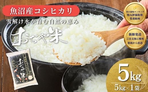 令和7年産 魚沼産コシヒカリ 5kg JA魚沼 【0002-JA02-03】