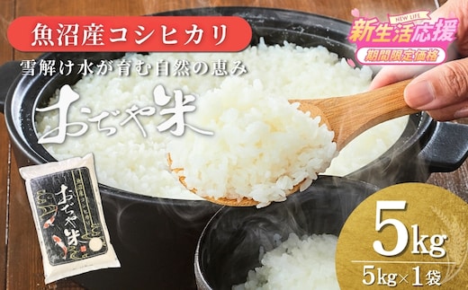 令和7年産 魚沼産コシヒカリ「おぢや米」 5kg JA魚沼