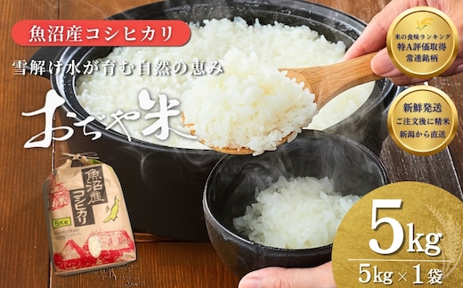 令和7年産 魚沼産コシヒカリ 5kg クラフト袋 JA魚沼 【0002-JA03-03】