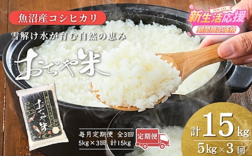 【3か月定期便(毎月発送)】 令和7年産 魚沼産コシヒカリ 精米5kg(5kg×1袋)×全3回 JA魚沼 【0002-JA04DB00-02】