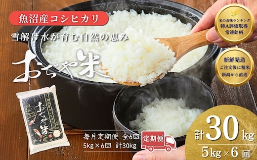 【6か月定期便(毎月発送)】 令和7年産 魚沼産コシヒカリ 精米5kg(5kg×1袋)×全6回 JA魚沼 【0002-JA05DB00-03】