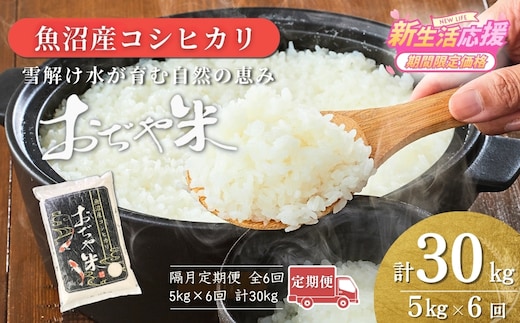 【6か月定期便(隔月発送)】 令和7年産 魚沼産コシヒカリ 精米5kg(5kg×1袋)×全6回 JA魚沼 【0002-JA06DB00-04】
