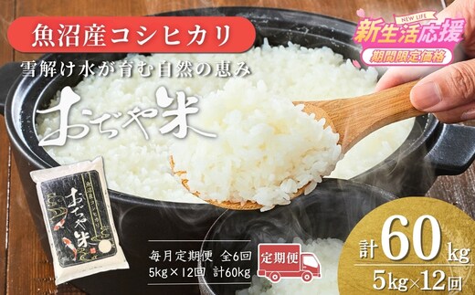 【12か月定期便(毎月発送)】 令和7年産 魚沼産コシヒカリ 精米5kg(5kg×1袋)×全12回 JA魚沼 【0002-JA07DB00-04】