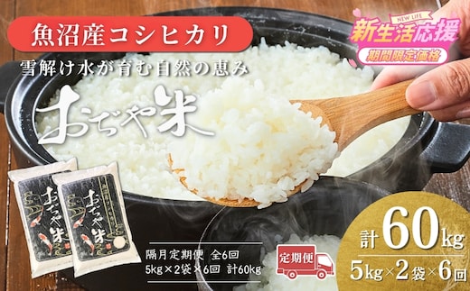 【6か月定期便(隔月発送)】 令和7年産 魚沼産コシヒカリ 精米10kg(5kg×2袋)×全6回 JA魚沼 【0002-JA09DB00-04】
