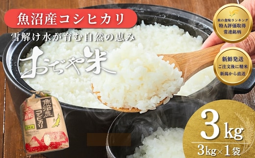 令和7年産 魚沼産コシヒカリ「おぢや米」 計3kg（3kg×1袋） クラフト袋 | 新潟県産コシヒカリ 米 お米 こめ こしひかり 魚沼産 小千谷市 白米 精米 ブランド米 【0002-JA12-01】