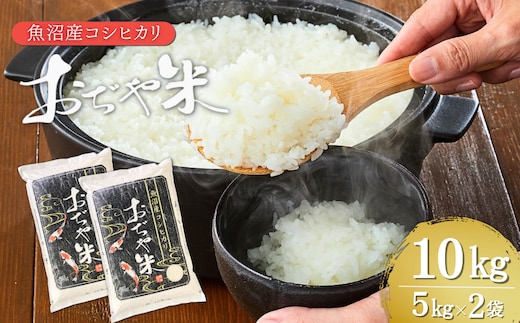 令和7年産 魚沼産コシヒカリ 10kg JA魚沼 【0002-JA13-01】