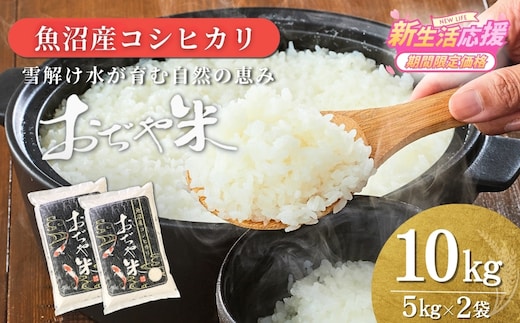 令和7年産 魚沼産コシヒカリ 10kg JA魚沼 【0002-JA13-02】