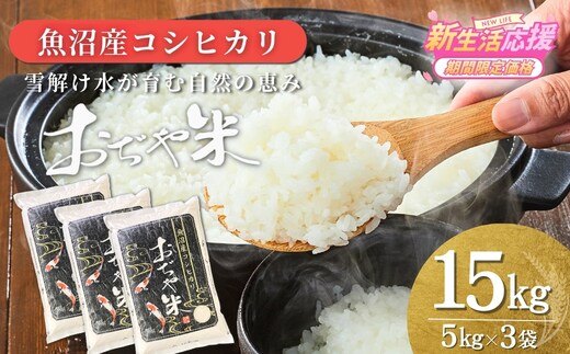 令和7年産 魚沼産コシヒカリ「おぢや米」 15kg JA魚沼
