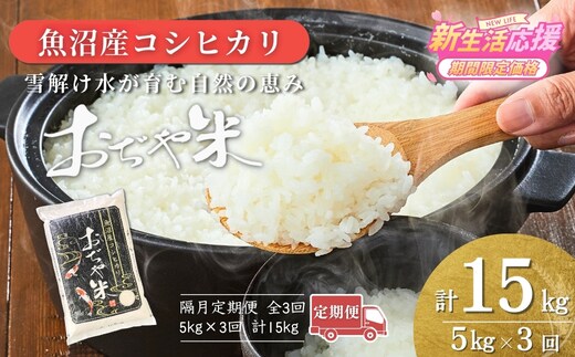 【3か月定期便（隔月発送）】 令和7年産 新潟県 魚沼産コシヒカリ「おぢや米」合計15kg(5kg×1袋×全3回) JA魚沼